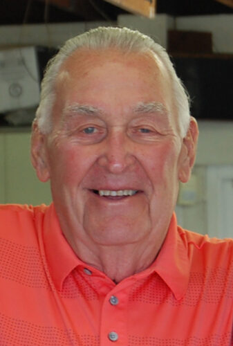 DAVID J. "BIG DAVE" STASIULEWICZ